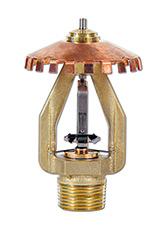 ESFR-17 K17(英制)早期抑制快速响应直立型喷头